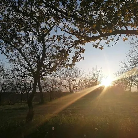 Charmante Maison Perigourdine Granges-d'Ans